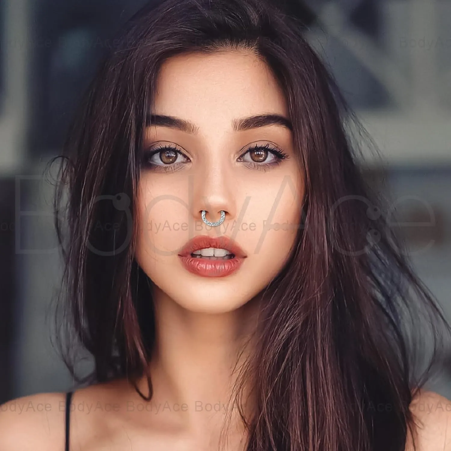 BodyAce CZ Hinged Segment Clicker PA Rings, 2G 4G 6G 8G 10G 12G Large Septum Nose Rings, Surgical Steel Spring Action BCR Ring Ear Gauges Earrings Hoops