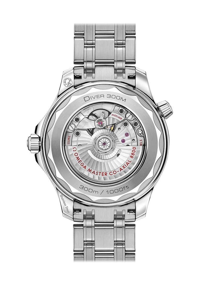 Omega Seamaster 300M Co-Axial Master Chronometer 42mm Steel on Steel 210.30.42.20.10.001