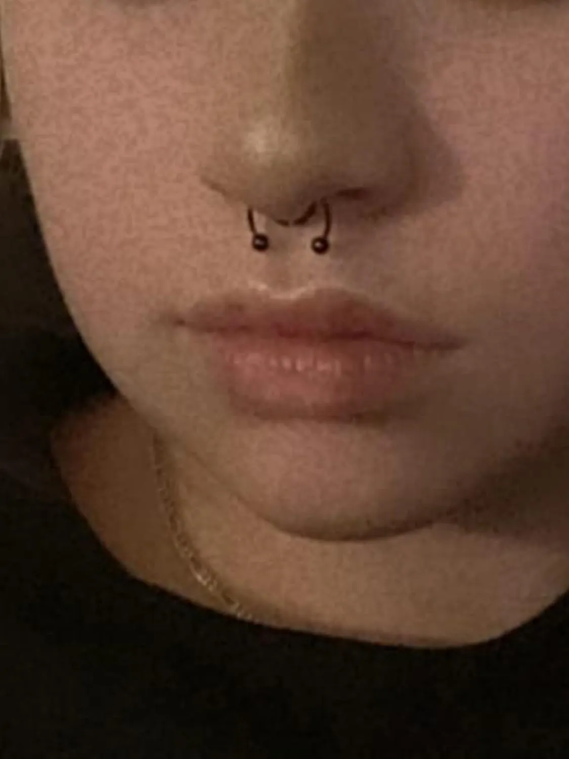 QWALIT Fake Nose Ring Fake Lip Piercing Fake Lip Ring Fake Nose Ring Hoop Fake Snake Bites Fake Lip Piercings Faux Lip Rings Fake Nose Piercing Clip on Nose Ring Spring
