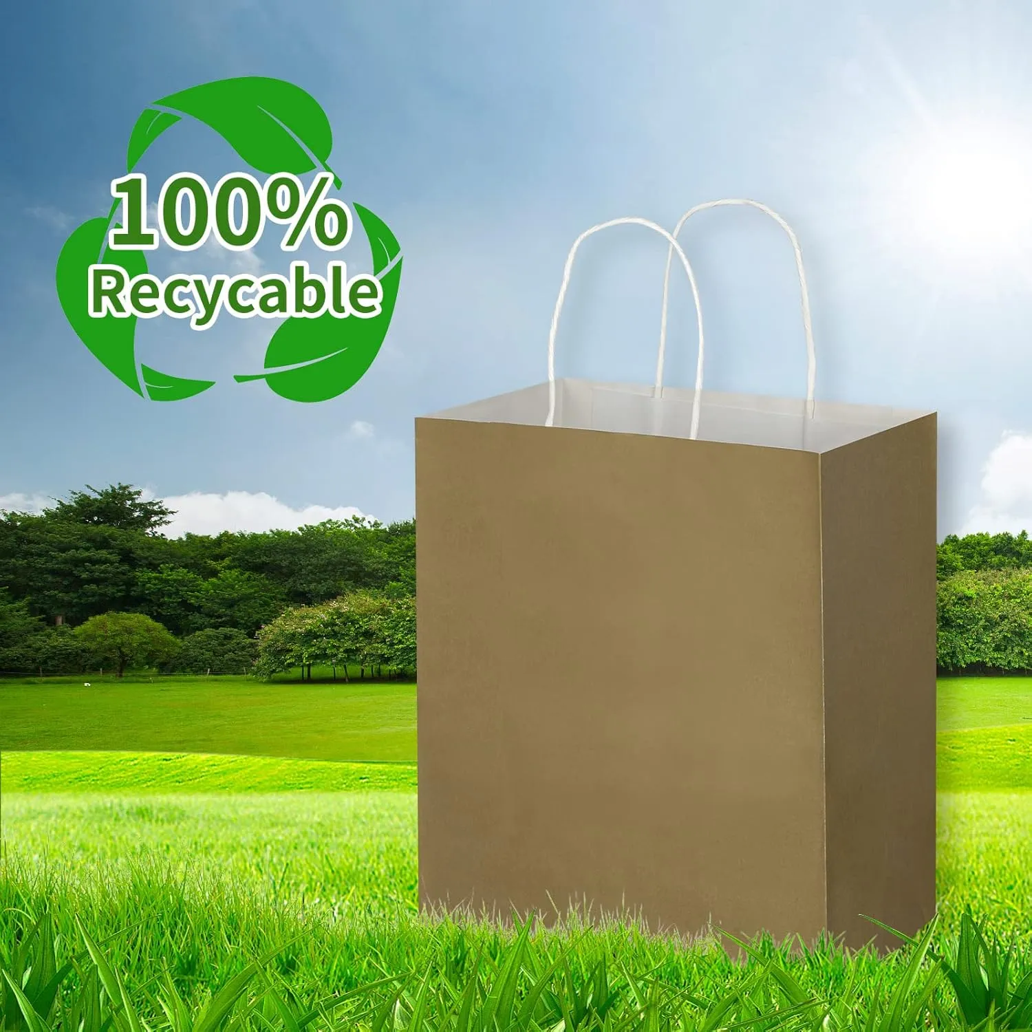 Toovip 50 Pack 8x4.75x10 Inch Medium Gold Kraft Paper Bags with Handles Bulk, Gift Wrap Bags for Favors Grocery Retail Party Birthday Shopping Business Goody Craft Merchandise Take Out Sacks